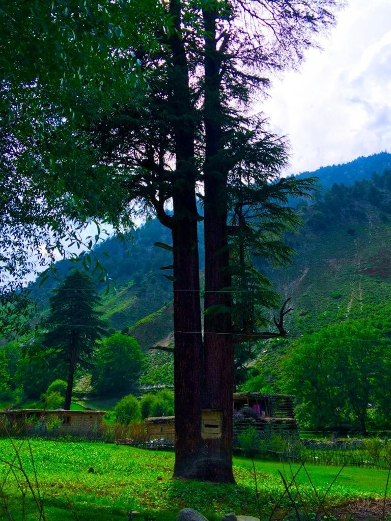 Chitral Inn Resort Buitenkant foto
